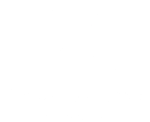 Michael Collins Centre Logo