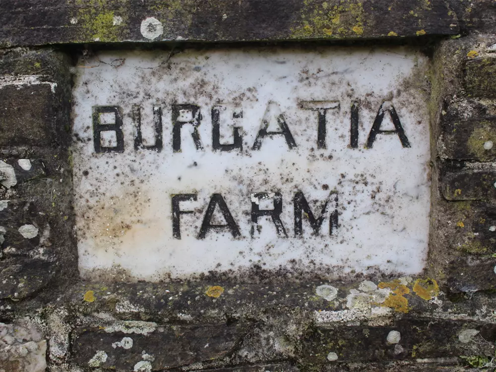Burgatia Farm